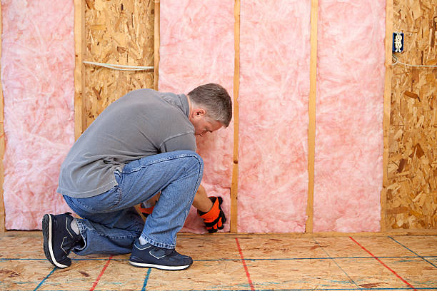 Best Insulation Maintenance and Repair in Lower Burrell, PA