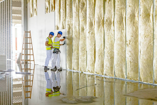 Best Types of Insulation in Lower Burrell, PA